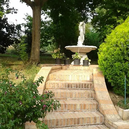 Bread And Fantasy Ostra